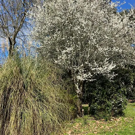 Le P'tit Bois Dore B&B