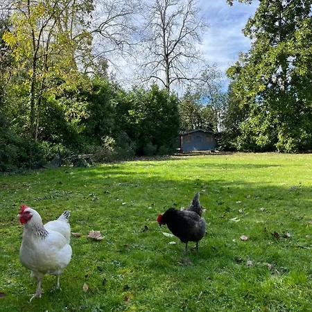Bed and Breakfast Le P'tit Bois Dore Blanquefort (Gironde)