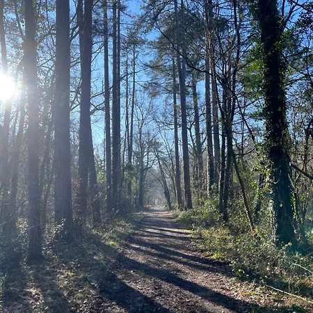 B&B Le P'tit Bois Dore 3*