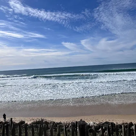 Le P'tit Bois Dore Blanquefort (Gironde)