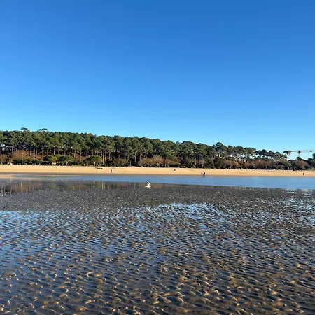 B&B Le P'tit Bois Dore 3*