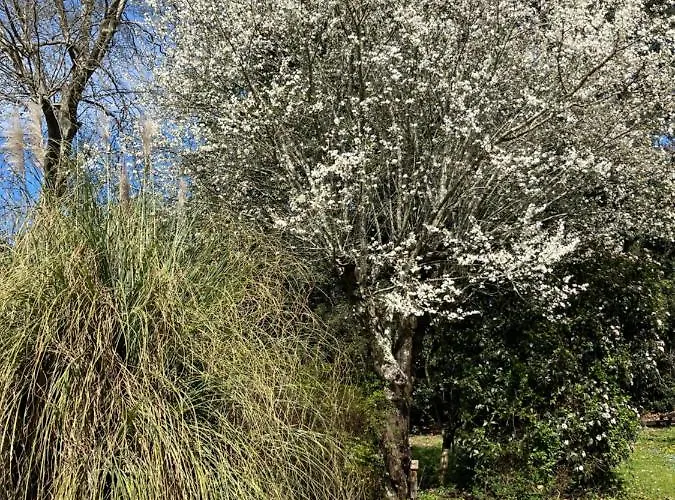 Le P'tit Bois Dore فندق مبيت وإفطار