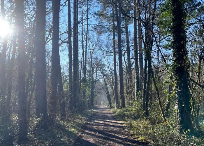 فندق مبيت وإفطار Le P'tit Bois Dore 3*