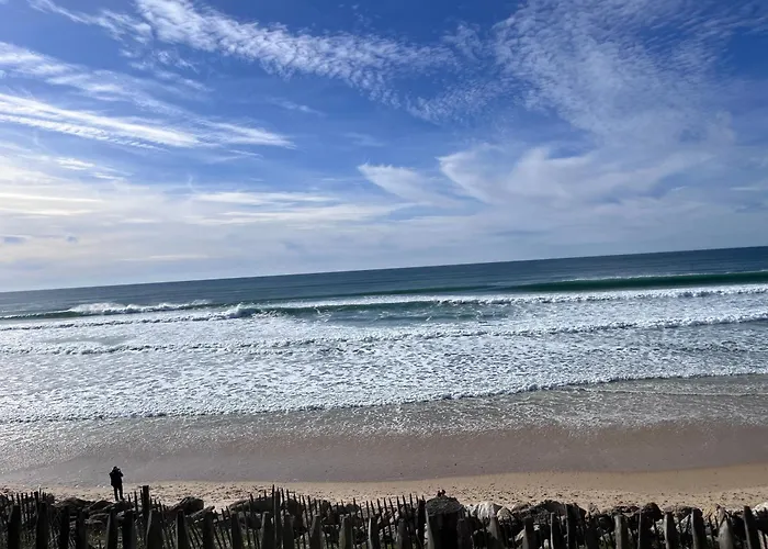 Le P'tit Bois Dore بلانكفور