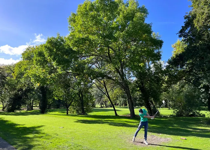 Le P'tit Bois Dore بلانكفور