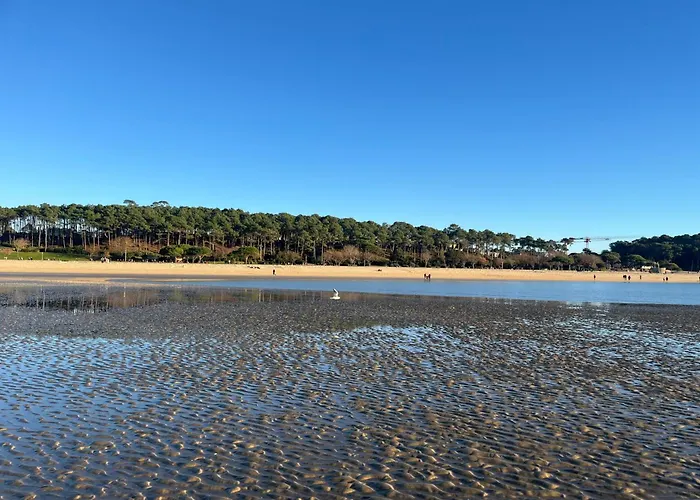 فندق مبيت وإفطار Le P'tit Bois Dore 3*